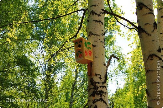 Такой фестиваль или флэшмоб скворечников прошел у нас в парке городском, скворечники делали ребята разных городских школ, такой прям хоровод получился, видно что постарались....... один другого краше....
теперь будет птичкам нашим где жить...любуйтесь и Вы! (фото 1)