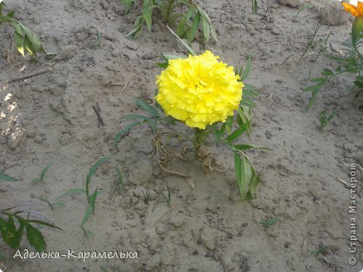 Работа на конкурс "Уикенд моей куклы" (фото 13)