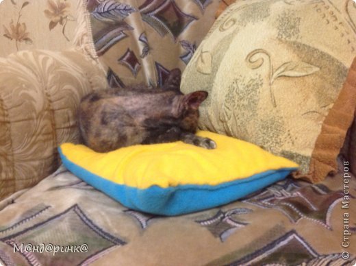 Котик же на подушке спит. Вот и Бася решила вздремнуть. В обнимку с подушкой! (фото 4)