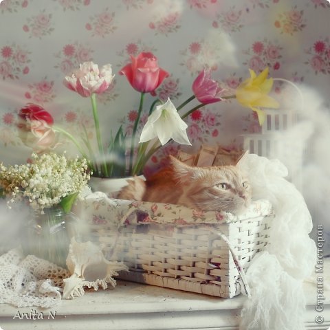 Шебби КОТ :) или натюрморты в светлом ключе (фото 3)