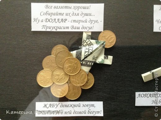 Денежная жаба (фото 9)