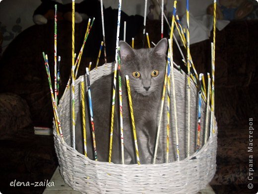 а это заказной котодом к сожалению нет фотки готового- забрали не дав просохнуть но моя красотуля примерила (фото 9)