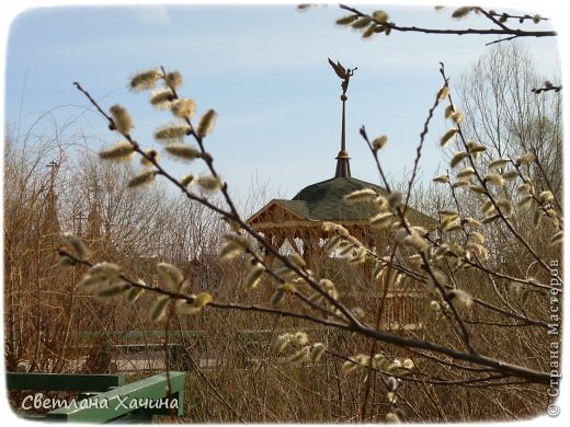 Отпуск в Нижнем Новгороде 1 часть. (фото 54)