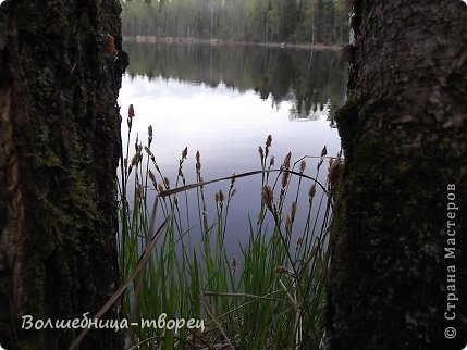 А это красивый вид, для тех кто досмотрел до конца. (фото 8)