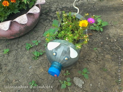 Привет страна! Покажу вам сегодня наши с мамой творения для сада! Это хрюшкп сделана из 5 л бутылки (фото 1)