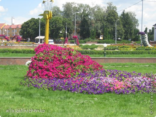 екскурсия украинским селом (фото 9)