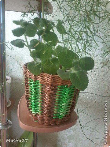 продолжение следует (фото 4)
