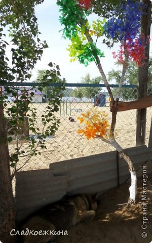 Нашла большую корягу - более-менее крепкую (ствол можно сделать из проволоки),
прикрепляю веточки малярным скотчем и нитками
(фото 18)