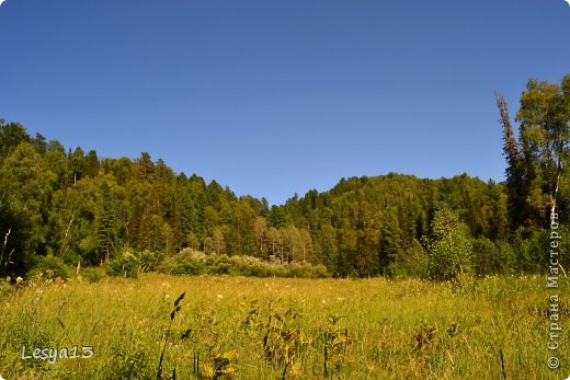 Горный Алтай (Телецкое озеро) (фото 13)