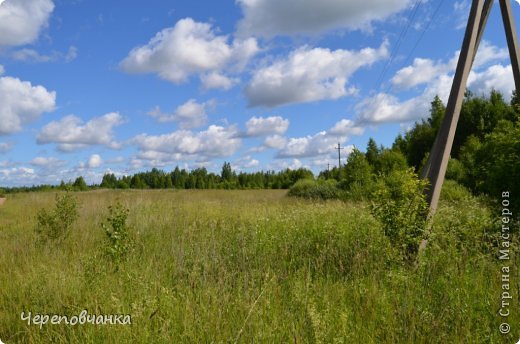 Природа Вологодской земли чиста и живительна, насыщена множеством рек, озер, изобилует ягодами, грибами. Леса покрывают более половины территории края.Здесь живёт и отдыхает вся моя семья,приглашаю в гости всех зашедших на мою страничку... (фото 1)