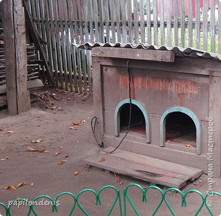 Как и при жизни хозяев, во дворе бегают дружелюбные собаки и кошки. Фотографии живности плохо получились.
А вот двухкомнатная будка не вертелась, поэтому получилась чётко    :-) (фото 10)