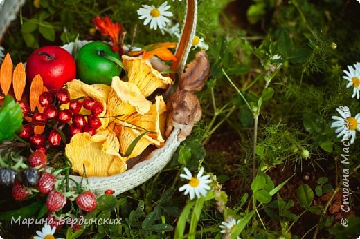 Композицию с лисичками, рябиной и ежевикой из конфет украшает декоративная белочка.  (фото 4)