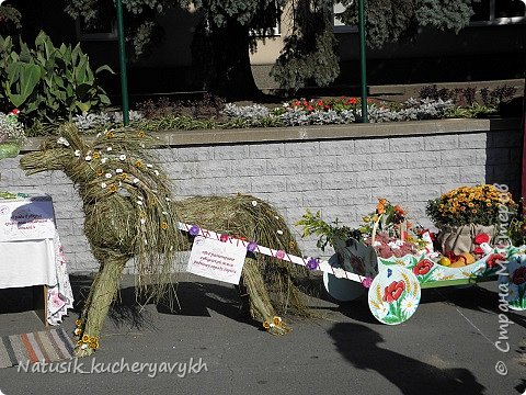 Праздник цветов 2 часть (фото 13)