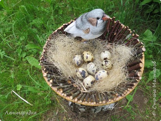 Птичка в гнезде крупнее. Яйца настоящие, покрыты лаком и приклеены. (фото 13)