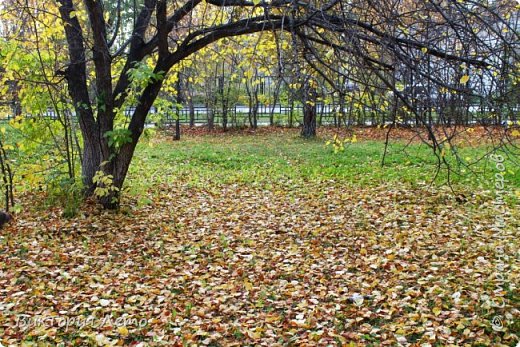 Всего по немногу..декупаж и скрапбукинг (фото 10)