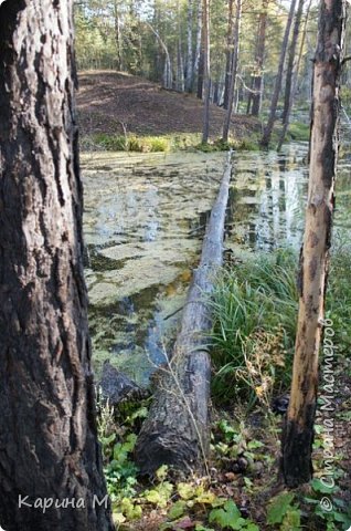 так и манит на другую сторону... (фото 12)