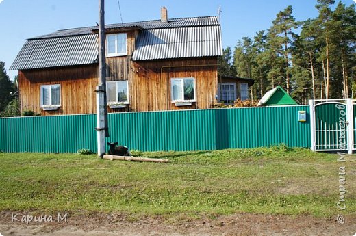 телёнок у дома (фото 18)