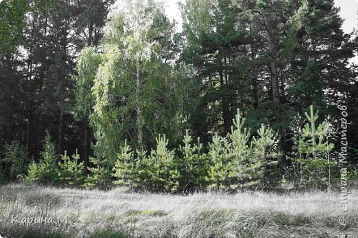 эксперименты с цветом (фото 29)