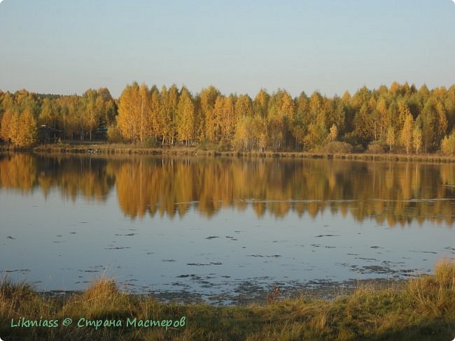 Березки принарядились и ждут- пождут чего-то.... (фото 4)