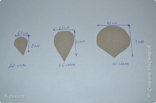 Вот примерные шаблоны,сразу предупрежу что размер пиона получается около 8-9 см,поэтому если вам нужен больше и пышнее ,увеличивайте размер лепестков. (фото 3)
