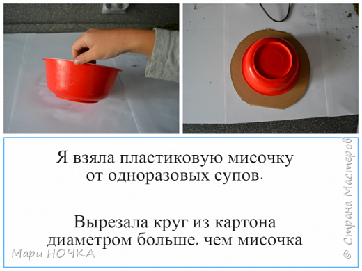 Каштановый подсолнух или чудо Уссурийское (фото 3)