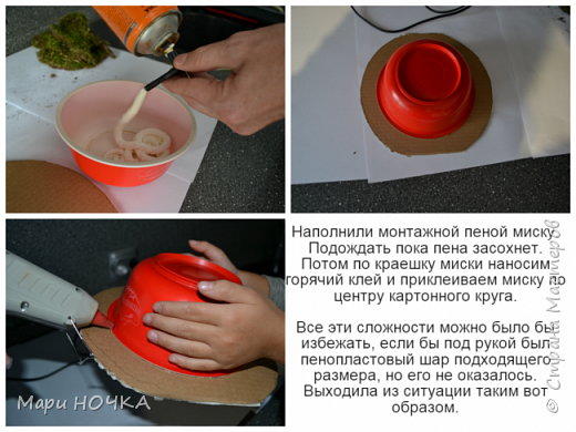 Каштановый подсолнух или чудо Уссурийское (фото 4)