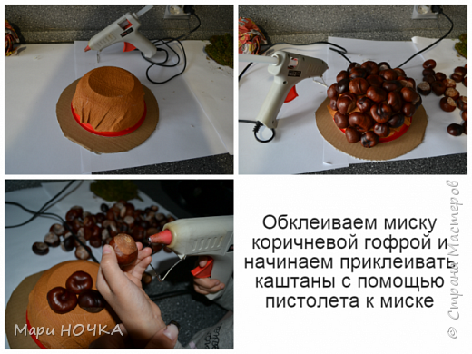 Каштановый подсолнух или чудо Уссурийское (фото 5)