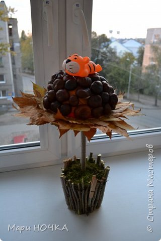 Здравствуй Страна и жители этой Страны!)))
Как только наступает осенняя пора, в садике просят выполнить работу из природных материалов вместе с ребенком. В этом году у нас с дочкой вырос вот такой Каштановый подсолнух! Доча довольная)))) А я и рада.))) В предыдущем своем блоге я не скромно выразилась что такой идеи я еще не видела у нас в Стране, поэтому в качестве ИДЕИ (и я именно на этом настаиваю, т.к. сама работа имеет косяки) я выкладываю мини МК. Возможно наша идея придется кому-то по душе и он воспользуется ей.
Сопроводительный текст к работе был такого содержания:
"Где-то далеко, в удивительной и суровой Уссурийской тайге жил маленький пушистый тигренок Амба. Но так случилось, что не было у него дома. А зима холодная… Погреться бы… Пускают его зверушки погреться, да попасть в их дома для тигренка непростая задача. И остался тигренок на белом снегу. Лег на землю: была не была! Но попался ему каким-то чудом выросший, но замерзающий росточек неизвестного растения. Пожалел его тигренок, обогрел своим дыханием и заснул. И случилось чудо: посреди зимы отогрелся, потянулся к солнышку, расправил свои листочки славный подсолнух. И проснулся тигренок в своем новом домике: летом на подсолнухе жил, а зимою — под ним прятался. Вот так теплое сердечко может чудо сотворить." (фото 1)