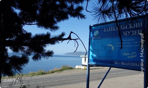 Рядом с отелем, на самом берегу, находится Лимнологический музей. Байкальский музей - единственный музей в России, экспозиция которого практически полностью посвящена озеру. Главная задача музея состоит в сборе, хранении и популяризации сведений и объектов, характеризующих уникальное природное образование - озеро Байкал. Байкальский музей представляет научные сведения о Байкале в наглядной и доступной для понимания форме.
В Байкальском музее действует несколько экспозиций, каждая из которых по-своему открывает для нас Байкал.
Экскурсоводы рассказывают о многообразии и своеобразии бычковых рыб, омуле, хариусе, осётре, микроскопическом рачке эпишуре, который является основным очистителем воды в озере Байкал, а также здесь можно узнать о единственном млекопитающем озера — Байкальском тюлене (нерпе).
Все многообразие живых форм озера Байкал можно увидеть собственными глазами во второй экспозиции музея - экспозиция представляет собой большие аквариумы высотой с человеческий рост. В пяти аквариумах общим объёмом 45 куб. метров представлены удивительные рыбы Байкала и в том числе представлены особи байкальского тюленя (нерпы). Нерпы очень забавны, на этих животных можно любоваться часами.
О подводном мире Байкала мы узнали из третьей экспозиции — «Погружение на дно Байкала». Погружаясь в виртуальном батискафе, мы видели, как живут многочисленные подводные обитатели, благодаря которым вода Байкала так прозрачна и чиста.
Недавно в музее открылась новая экспозиция - «Живой мир Байкала под микроскопом», где мы увидели в микроскопе мельчайших представителей озера.
В музее действует еще одна экспозиция - «Байкал в режиме реального времени», где на большом экране можно увидеть в реальном режиме с web-камеры лежбище байкальской нерпы на Ушканьих островах и понаблюдать за ее поведением в естественных условиях. Фотографировать в музее можно было за определенную плату, мы решили сэкономить!
(фото 3)