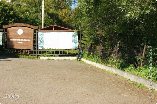 При музее есть дендропарк, где в открытом грунте культивируются деревья, кустарники, лианы и сопутствующие им травянистые растения. Дендропарк «Каменушка» занимает территорию в 4 га с ручьем, лесом и живописным остепненным склоном на берегу Байкала. Флора парка включает 284 вида сосудистых растений из 212 родов, представляющих 63 семейства. Во флоре дендропарка насчитывается 29 видов растений, подлежащих охране на федеральном и местном уровне. 259 видов относятся к лекарственным. Среди них рододендрон золотистый - представитель высокогорий; эфедра - обитатель степей, а пихта - житель влажных темнохвойных лесов. (фото 4)