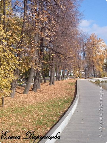 Набережная. "Динамо". (фото 10)