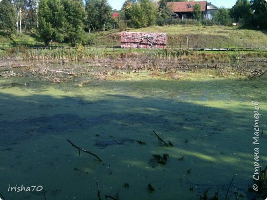 На заднем фоне репродукция скелета динозавра. (фото 15)