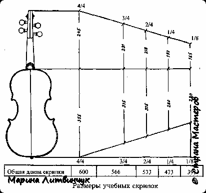 Пропорции скрипки (в миллиметрах). (фото 2)