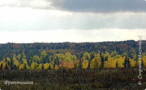 Эта теплая винная осень
Опьяняет своей красотой,
И среди неподвижности сосен
Лист березы звенит золотой.
Как оазис в степи эти рощи,
Как подарок бесценный для всех,
Как святыни, как храмы, как мощи,
Как обряд, искупающий грех.
(фото 11)