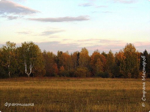 А это мое любимое место за нашим домом, в начале лес выглядел так, (фото 3)