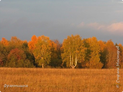 листья тихонько желтели, (фото 5)