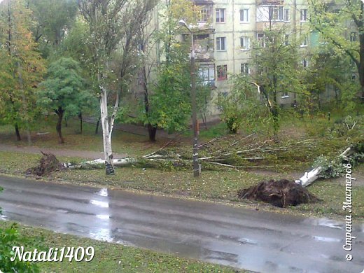 В заключении все показывают красоту-бонус, а я хочу показать какой сильный ураган был у нас в городе, думаю все по телевизору видели. Это фото из окна моего дома. Тополя высотой с пятиэтажку не устояли!!!!!!!!! (фото 24)