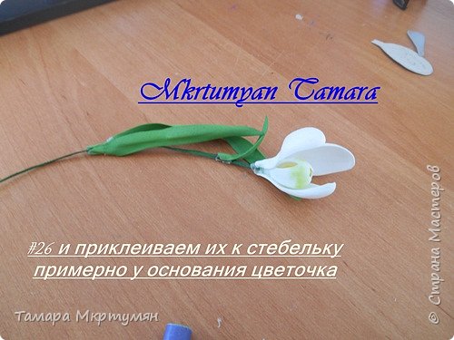 МК подснежников (фото 26)