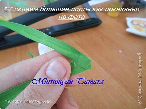 МК подснежников (фото 25)