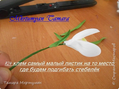 МК подснежников (фото 24)