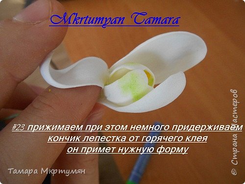 МК подснежников (фото 23)