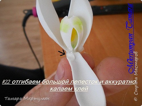 МК подснежников (фото 22)