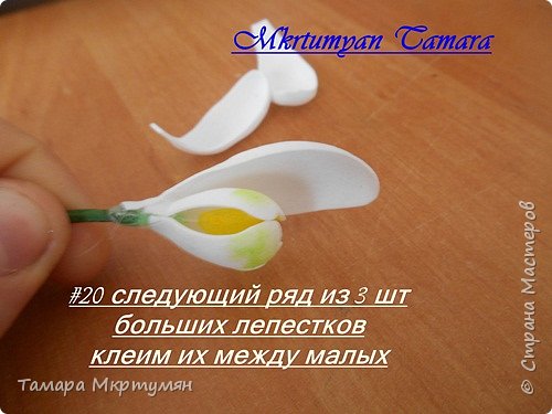 МК подснежников (фото 20)