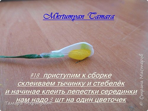 МК подснежников (фото 18)