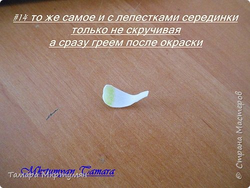 МК подснежников (фото 14)