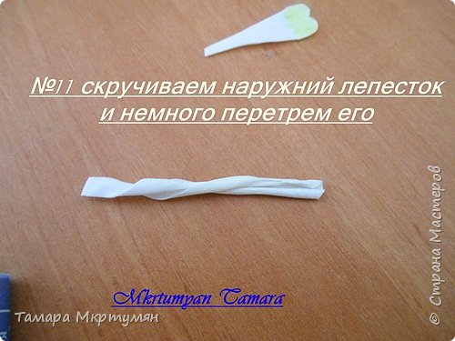 МК подснежников (фото 11)