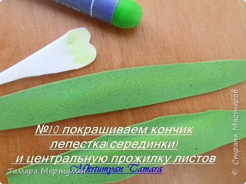 МК подснежников (фото 10)