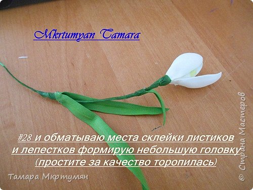 МК подснежников (фото 28)