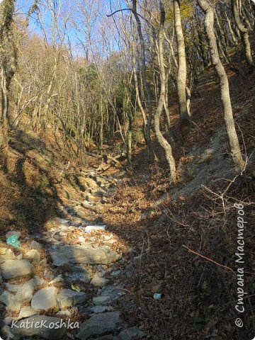 Поход в горы, а заодно и на море. (фото 6)