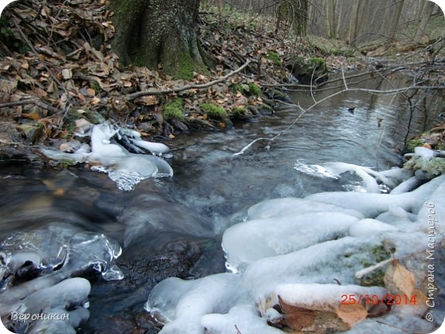 Шум воды лесного ручья... (фото 10)